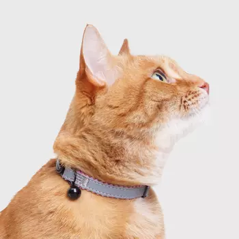 Petmax Ошейник для кошек Reflect, обхват шеи 30 см, ширина 1 см, черно-розовый