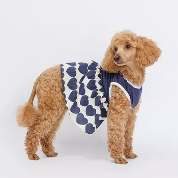 Petmax Платье для собак и кошек, L, синее