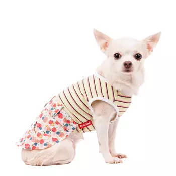 Petmax Платье для собак в полоску S желтый (девочка)