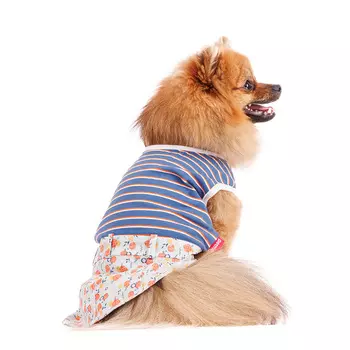 Petmax Платье для собак в полоску M голубой (девочка)
