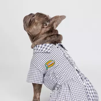 Petmax Платье-рубашка для кошек и собак, L, синее в клетку