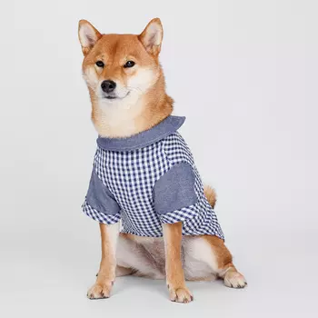 Petmax Рубашка в клетку для собак, 3XL, синяя