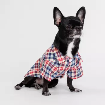 Petmax Рубашка в клеточку для кошек и собак, S, сине-красная