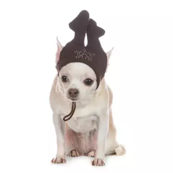 Petmax Шапка Оленя коричневая размер 0