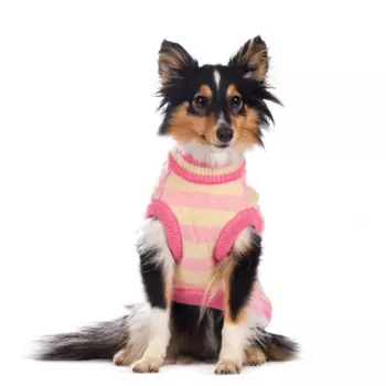 Petmax Свитер 2XL для собак розовый в полоску