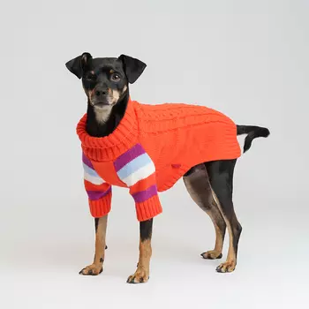 Petmax Свитер для кошек и собак, L, оранжевый