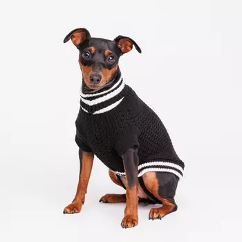 Petmax Свитер для кошек и собак, M, черный
