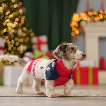 Petmax Свитер для кошек и собак Merry Christmas, S, красно-синий