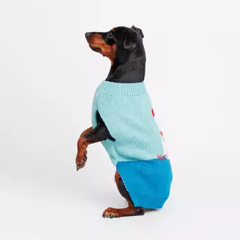 Petmax Свитер для кошек и собак Снеговик, L, сине-зеленый