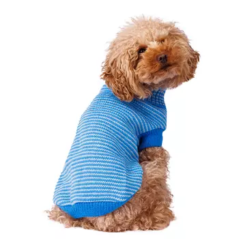 Petmax Свитер для собак 30см M голубой (унисекс)