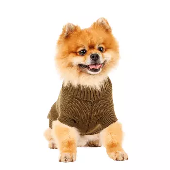 Petmax Свитер для собак 35см L зеленый (унисекс)