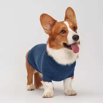 Petmax Свитер для собак, 3XL, синий