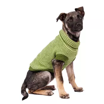 Petmax Свитер для собак 55см 4XL зеленый (унисекс)