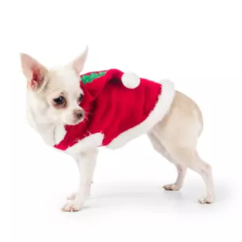 Petmax Свитер с капюшоном для собак S красный (унисекс)