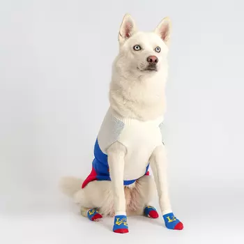 Petmax Свитер для собак Love, 3XL, сине-красный