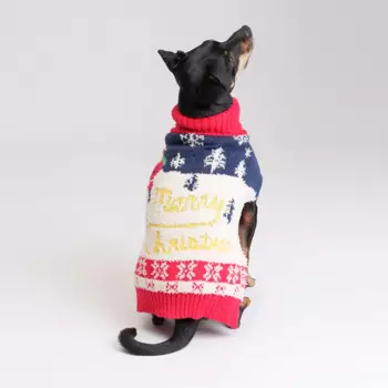 Petmax Свитер для кошек и собак Merry Christmas, XL, красно-синий