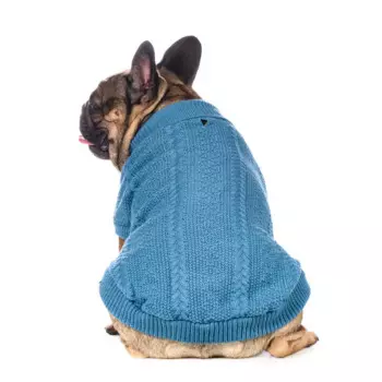 Petmax Свитер для собак вязаный голубой 25см
