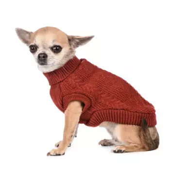 Petmax Свитер для собак вязаный ржавый 20см