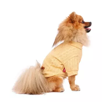 Petmax Свитер для собак XL желтый (унисекс)
