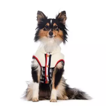 Petmax Свитер для собак M черный (унисекс)