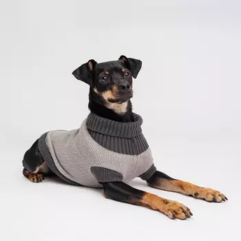 Petmax Свитер с аппликацией для кошек и собак, 40 см, серый