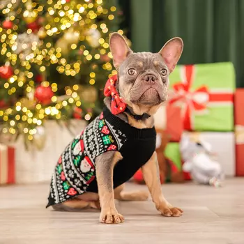 Petmax Свитер с Дедом Морозом для кошек и собак, 2XL, черный