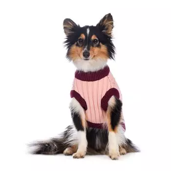 Petmax Свитер S для собак бордовый