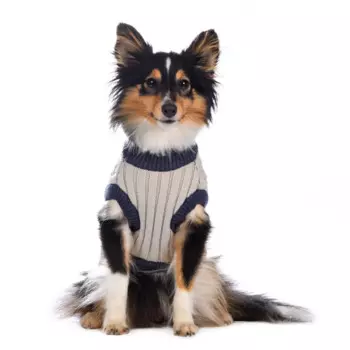 Petmax Свитер S для собак голубой