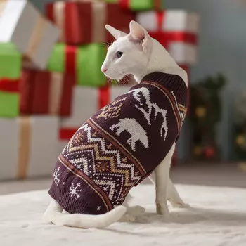 Petmax Свитер с медведем для кошек и собак, XS, фиолетовый