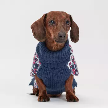 Petmax Свитер с оленями для кошек и собак, M, синий