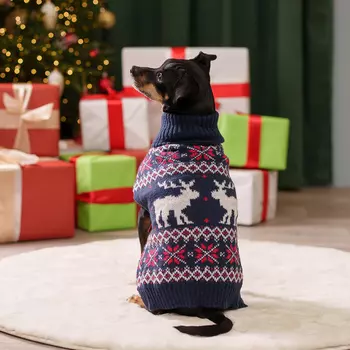 Petmax Свитер с оленями для кошек и собак, L, синий