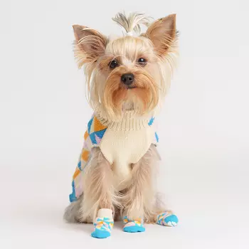 Petmax Свитер с ромбами для кошек и собак, M, бело-синий