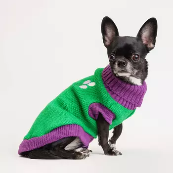 Petmax Свитер с шариками для кошек и собак, S, салатовый