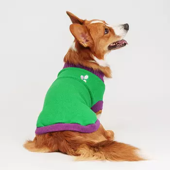 Petmax Свитер с шариками для собак, 4XL, салатовый