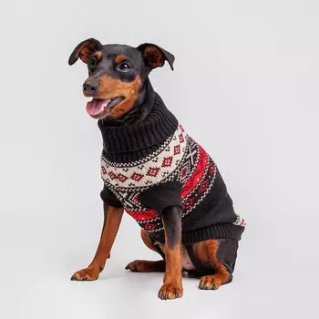 Petmax Свитер с узорами для кошек и собак, XS, коричневый