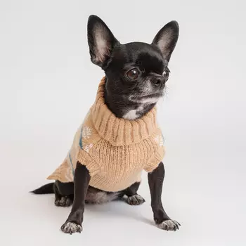 Petmax Свитер с узором для кошек и собак, M, бежевый