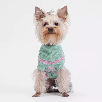 Petmax Свитер в клетку для кошек и собак, XS, розовый