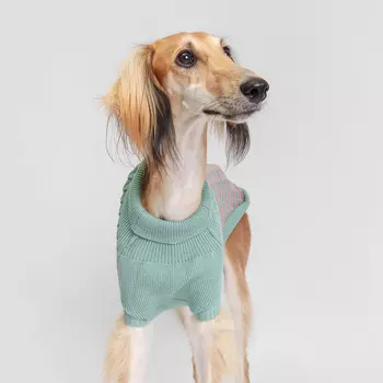 Petmax Свитер в клетку для собак, 4XL, розовый