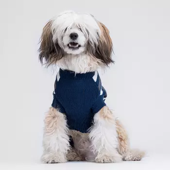 Petmax Свитер в полоску для собак, L, синий