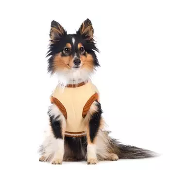 Petmax Свитер XS для собак бежевый с лимоном