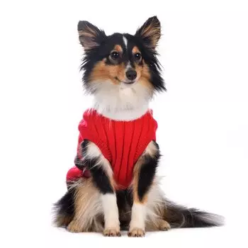 Petmax Свитер для собак Санта XS красный (унисекс)