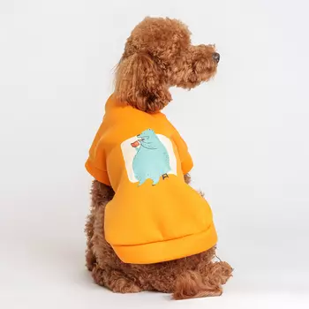 Petmax Толстовка с медведем для кошек и собак, L, оранжевая