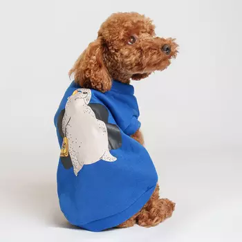 Petmax Толстовка с медведем для кошек и собак, 2XL, синяя