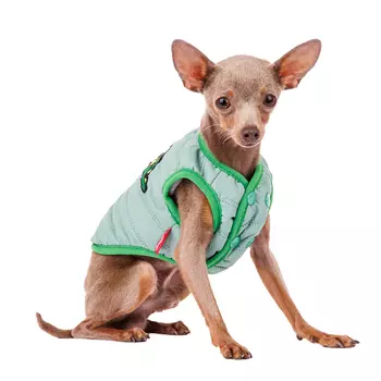 Petmax Жилетка для собак с дракошей M (унисекс)