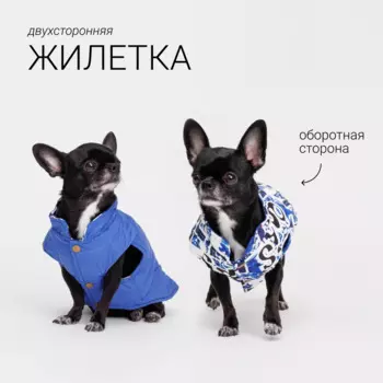 Petmax Жилетка двусторонняя для собак, M, синяя
