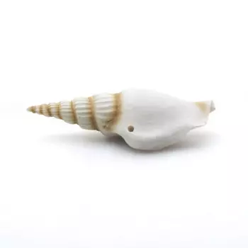 Prime Декорация пластиковая для аквариума Ракушка спиральная малая, 7,5х2,5х2 см