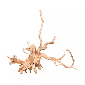 Prime Декорация природная Коряга Сакура, S, 20-30 см