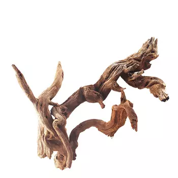 Prime Декорация природная Коряга затонувшая, XS, 10-20 см