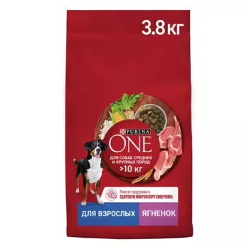 Purina ONE Сухой корм для взрослых собак средних и крупных пород, с ягненком и рисом, 3,8 кг