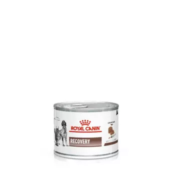 Royal Canin Recovery консервы для собак и кошек в период анорексии и выздоровления, 195 г